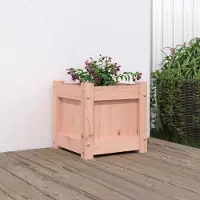 Prolenta Maison Exclusive - Jardinière en bois massif de Douglas, dimensions 31x31x31 cm