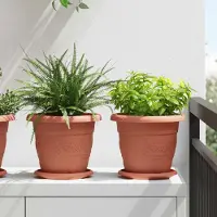 Prolenta Maison Exclusive - Jardinières, lot de 24 pièces, couleur brique, diamètre 22 cm, hauteur 18 cm, en plastique