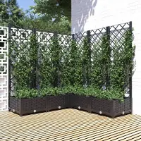 Prolenta Maison Exclusive - Bac à plantes avec treillis noir 120 x 120 x 121,5 cm PP