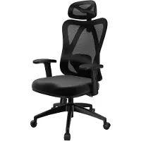 Pokar Chaise de bureau ergonomique avec dossier adaptatif, couleur:noir