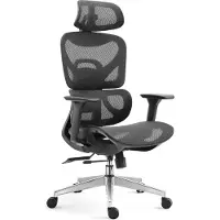 CasaDolce Casa Dolce chaise de bureau TEREM, noir, 69x62x106-116 cm, pivotant et réglable en hauteur, plastique, accoudoirs réglables