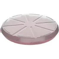 Elasto Boîte à pizza 'ToGo' - boîte de rangement sans BPA pour pizza Boîte en plastique réutilisable en matériau recyclable - rouge raffiné/transparent