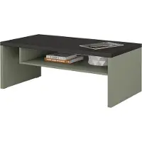 Meublorama Table basse HAVANA – Vert sauge et noir – Plateau noir mat – Avec niche – Design moderne