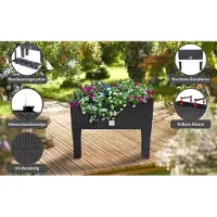 B2X Jardinière surélevée, anthracite, 60 x 25 x 46 cm, design rotin