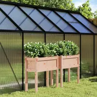 Prolenta Maison Exclusive - Lot de 2 jardinières sur pieds en bois massif de douglas