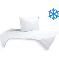 Brotex® Ensemble d'hiver AntiStress, couette 140 x 200 cm 1 300 g + oreiller 70 x 90 cm 900 g UNICO avec fermeture éclair