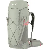 Salewa Sac à dos de sport gris