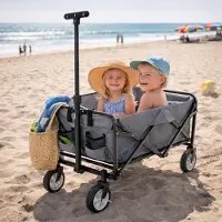 Mojawo Bollerwagen pliable Chariot de transport Chariot à main Chariot de jardin Cadre en acier