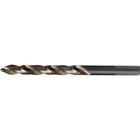 RUKO 10x forets hélicoïdaux ULTIMATECUT DIN 338 type N HSS-Co 5 or tige à trois faces Ø 4 mm - 259040E