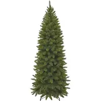 Triumph tree Arbre de Noël artificiel Bristlecone Fir - 94x94x230 cm - PVC - Vert