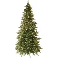 Best Season Arbre de Noël LED "Vancouver" de la marque , éclairé, d'environ 225 cm de hauteur, avec 550 LED blanc chaud, de couleur verte, comprenant un transformateur, référence 608-60