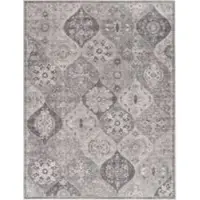 Tapis.fr Tapis lavable Sami gris 240x340 cm