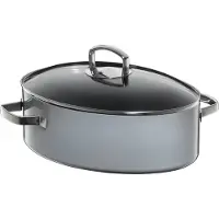 WMF Fusiontec Mineral Rôtissoire Avec Couvercle En Verre, Ovale, 36 Cm, Platinum