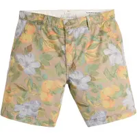 Levi's Xx Authentic Short Ii Shorts Multicolore 30 Homme