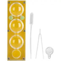 Gistuch Acryl -Ameisen -Zuchtbox transparent feuchtigkeitsspendende Fütterungskoffer Kinder Ants House Toy Spielzeug