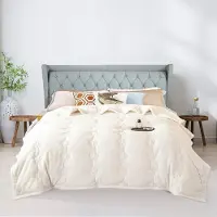 Topchances Couette d'hiver chaude et épaisse, couette en microfibre, couette en flanelle avec duvet et plumes, couette moyenne en duvet 370gsm,Beige,150x200cm