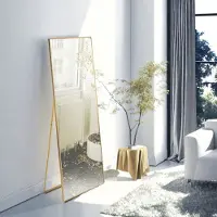 ProximaX Miroir intégral 40 x 150 cm, miroir sur pied et miroir mural 2 en 1, miroir d'habillage, miroir de vestiaire pour la chambre à coucher, le salon et l'entrée, doré
