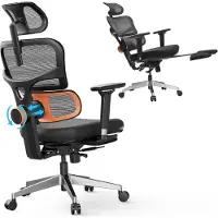Topchances Chaise de bureau ergonomique Pro avec repose-pieds - Chaise de bureau à haut dossier avec soutien lombaire réglable unique, réglage de la profondeur d'assise, chaise longue pour le bureau à domicile