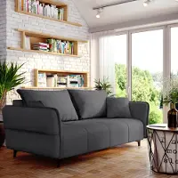 FURNISTAR Canapé ISABELL avec coffre de rangement Canapé-lit Canapé pliable avec fonction sommeil Canapé avec pieds noirs Salon Chambre d'amis (graphite)