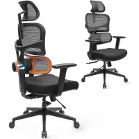 Topchances Chaise de bureau Chaise de bureau ergonomique, chaise d'ordinateur à haut dossier avec soutien lombaire réglable unique, dossier et profondeur d'assise, fonction d'inclinaison, appuie-tête