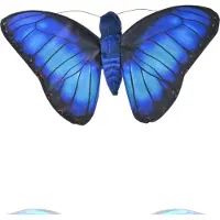 Wild republic - Doudou - Butterfly - Morphofalter bleu