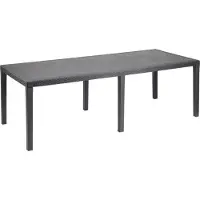 Syfax Table de jardin QUEEN effet rotin, Anthracite, 220 x 90 x 72 cm, Rectangulaire, 8 personnes