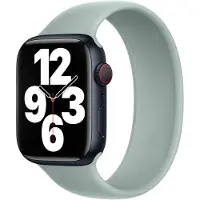 Apple Bracelet solo en silicone pour Watch | 38/40/41/42 mm - Taille 5 - Succulent