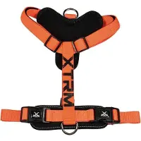 Nayeco Harnais X-trm Cronos Neon Flash Orange Visibilité Optimale Et Confort Robuste -