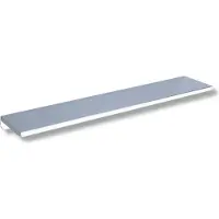 Delabie Tablette montage mural 120x450mm acier blanc