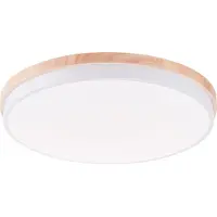 Brilliant G80846/Baarlo LED-Deckenleuchte LED fest eingebaut W Weiss matt (4500 lm)