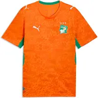 Puma Maillot 'FIF' émeraude / orange / orange foncé / blanc