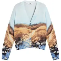 Desigual Cardigan bleu / marron