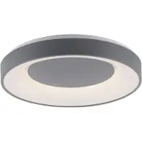 Paul Neuhaus Plafonnier LED rond avec télécommande ANIKA gris-blanc 26,5 W, nuances de blanc, 1 450 lm, métal, dim. : 7,8 x 48 x 48 cm, IP20, Paul Neuhaus