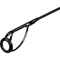 Mikado Trython Carp Carpfishing Rod Argenté 3.00 m / 3 Lbs