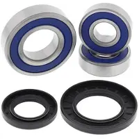 All Balls Racing 25-1393 Front Wheel Bearing Kit Argenté