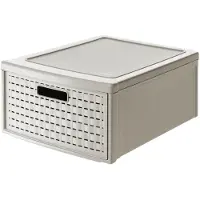 Rotho Pays (19.50 l, 45 x 34 x 20 cm)