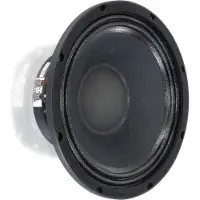 Visaton PAW 25 haut-parleur 10 pouces, 8 ohms