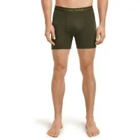 Icebreaker Anatomica Boxers Vert,Gris XL Homme