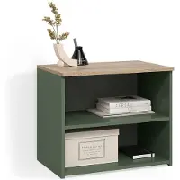 Livinity Meuble TV Piave Vert 60x50cm avec 2 compartiments, Model 58833