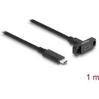 DeLOCK 87824 SuperSpeed USB 10 Gbps (USB 3.2 Gen 2) Kabel USB Type