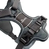 Hunter Harnais Divo Gris - XS