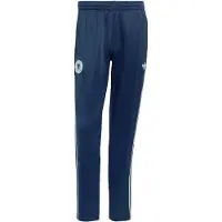 Adidas Pantalon de sport 'DFB' bleu foncé / menthe