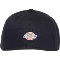 Dickies Hardwick Two Tone Cap Noir
