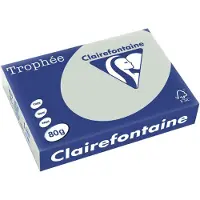 Clairefontaine Gris clair A4 Papier couleur 210 g/m² (250 feuilles)