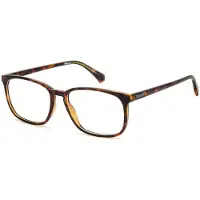 Polaroid Lunettes de Vue PLD D488 56/17/145 Havana Polyamide frames MAN PLD D488