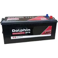 Dolphin Charger Pro Battery 180a Clair