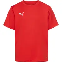 Puma Garçons, T-shirt de sport, teamGOAL Jersey Jr (164), Rouge, 164