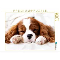 CALVENDO Puzzle : Un motif du calendrier "Le calendrier des chiots" - Cavalier King Charles Spaniel | 1000 pièces. Dimensions du puzzle assemblé : 64 x 48 cm. Puzzle photo pour des moments de bonheur