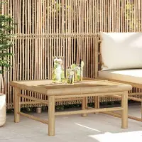 Prolenta Maison Exclusive - Table de jardin 65 x 65 x 30 cm en bambou