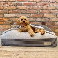 DOTTY Nid douillet Lit pour chien Nid pour chat Sac de couchage pour chiens - Gris Graphite Tissu velours côtelé - Taille M (70 x 55 cm)
